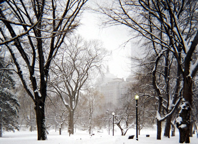 BostonPublicGarden: Boston Public Garden under snow.