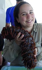 MickeyCuke: Mickey holding pineapple sea cucumber, Australia, February 2004.