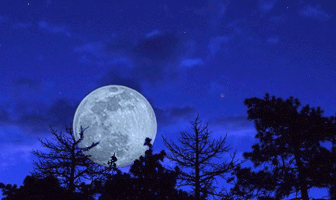 moonflip: Night landscape, with and without moon, animated gif
