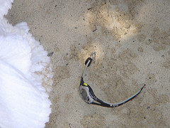 SandWatch: wristwatch lying on beach sand