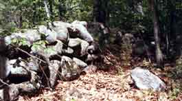 NH: NH stone wall. Boulders brought rocks to NH and rubbed them smooth. Then lichens and moss and snow and rain made them smoother. Then farmers dug them up out of their fields and built the New England stone walls. Now many lie covered again by decades of falling leaves in renewed NH forests. Who knows what their future will be?