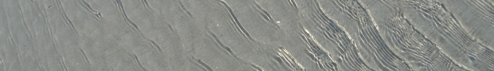 Betsy Devine: Funny ha-ha and/or funny peculiar header image 1