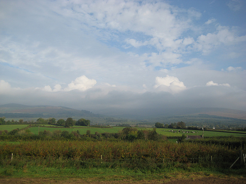 MitchelstownBlueGreen